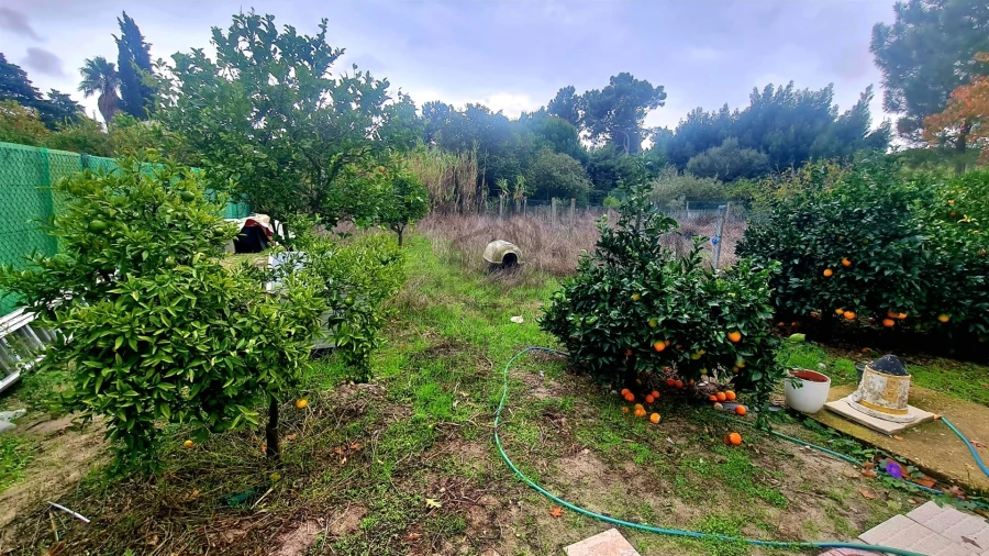 Moradia T3 para Arrendamento em Azeitão (São Lourenço e São Simão) Foto 22