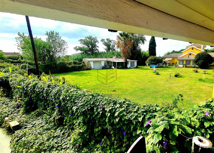 Moradia T3 para Arrendamento em Azeitão (São Lourenço e São Simão) Foto 3