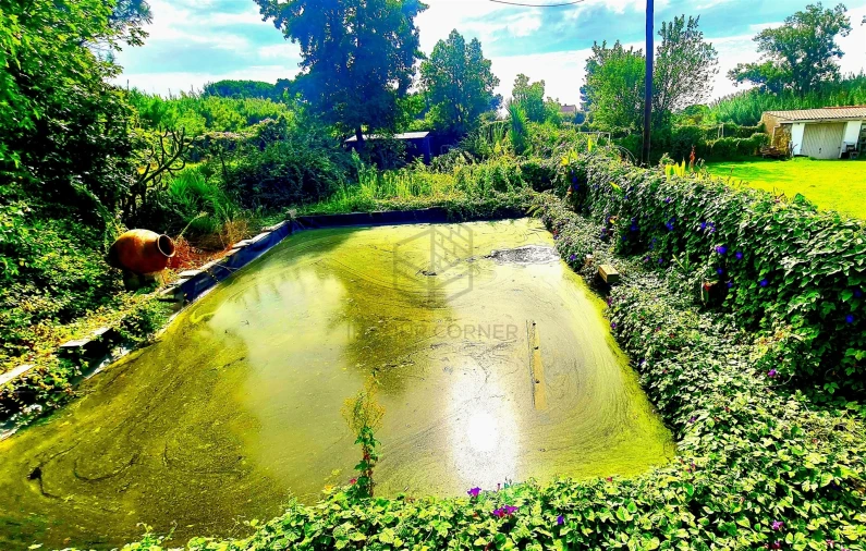 Moradia T3 para Arrendamento em Azeitão (São Lourenço e São Simão) Foto 2