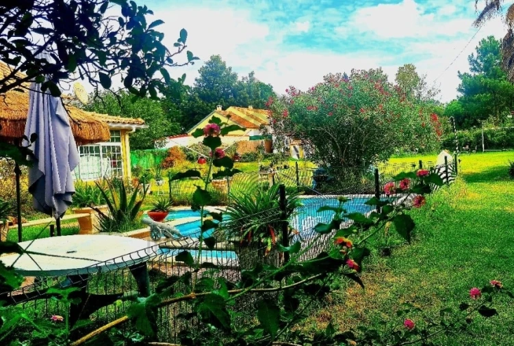 Moradia T2 para Arrendamento em Azeitão (São Lourenço e São Simão) Foto 34