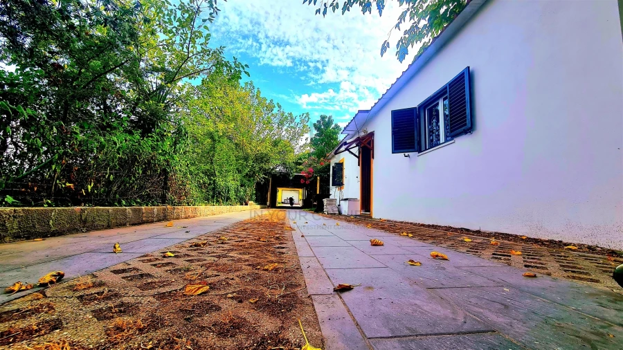 Moradia T2 para Arrendamento em Azeitão (São Lourenço e São Simão) Foto 9