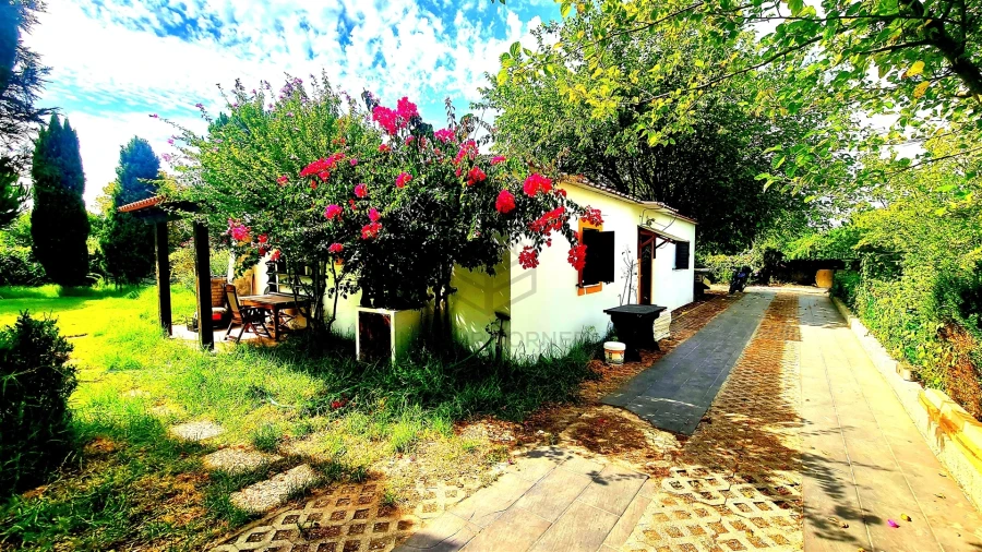 Moradia T2 para Arrendamento em Azeitão (São Lourenço e São Simão)