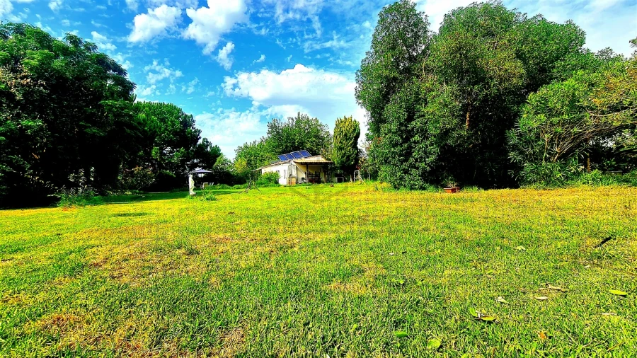 Moradia T2 para Arrendamento em Azeitão (São Lourenço e São Simão) Foto 28