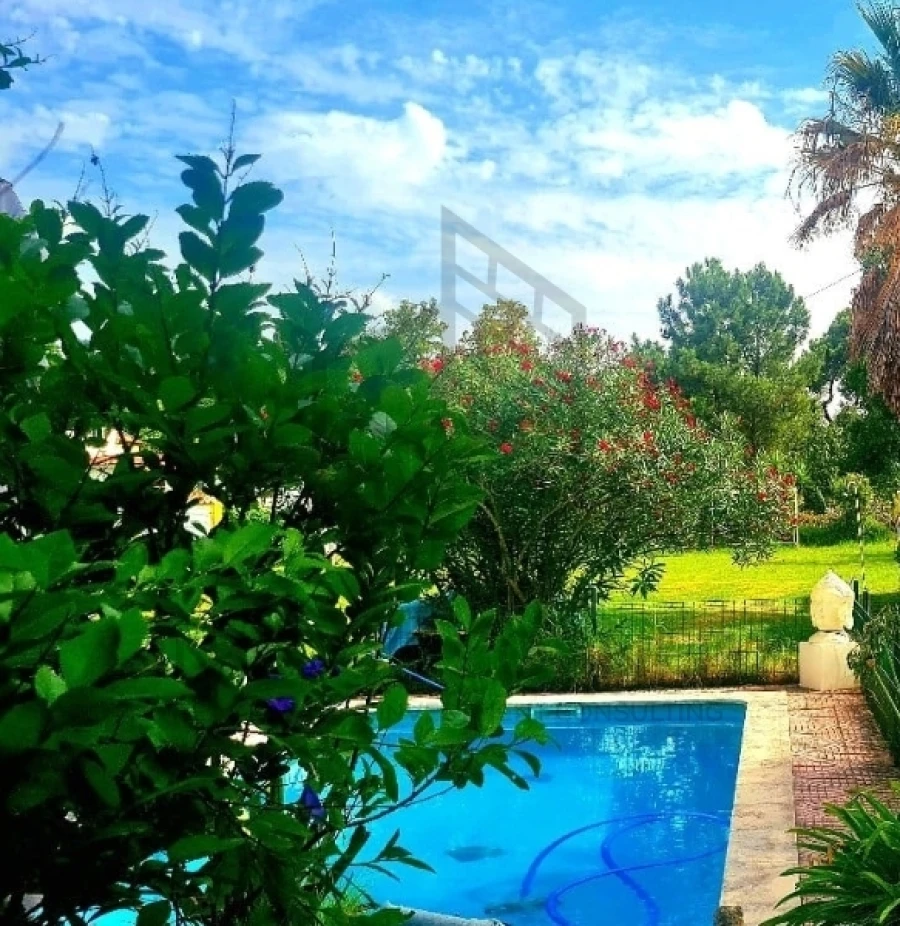 Moradia T2 para Arrendamento em Azeitão (São Lourenço e São Simão) Foto 33