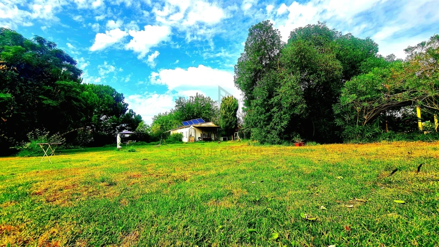 Moradia T2 para Arrendamento em Azeitão (São Lourenço e São Simão) Foto 31