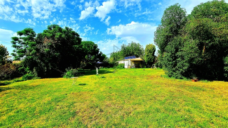 Moradia T2 para Arrendamento em Azeitão (São Lourenço e São Simão) Foto 30