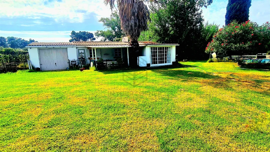 Moradia T2 para Arrendamento em Azeitão (São Lourenço e São Simão) Foto 2