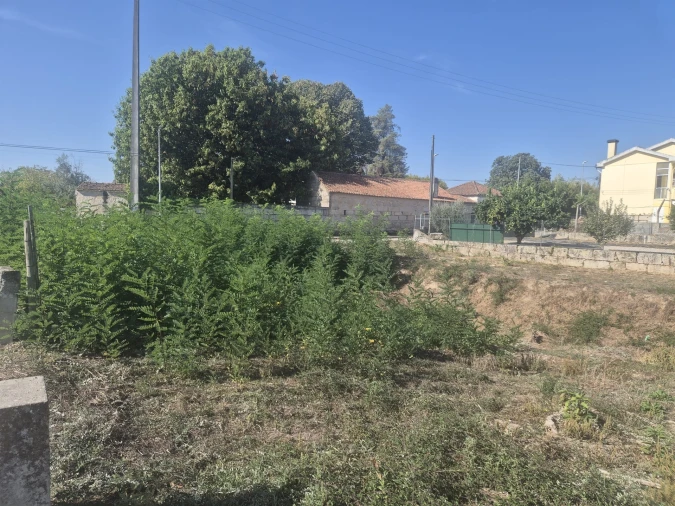 Terreno para Venda em Nelas