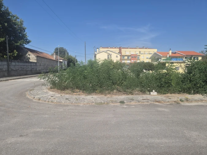 Terreno para Venda em Nelas Foto 3