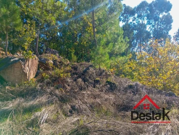 Terreno para Venda em Boa Aldeia, Farminhão e Torredeita