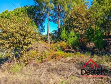 Terreno para Venda em Boa Aldeia, Farminhão e Torredeita