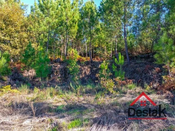 Terreno para Venda em Boa Aldeia, Farminhão e Torredeita