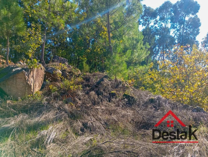 Terreno para Venda em Boa Aldeia, Farminhão e Torredeita Foto 7