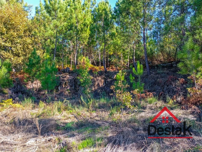 Terreno para Venda em Boa Aldeia, Farminhão e Torredeita Foto 5