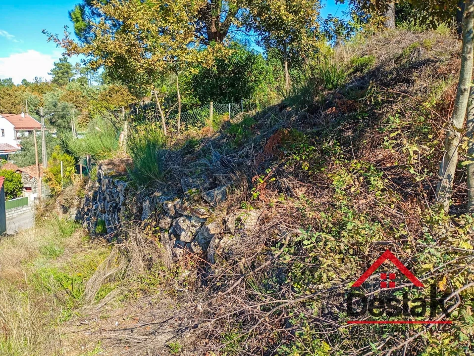 Terreno para Venda em Boa Aldeia, Farminhão e Torredeita Foto 2