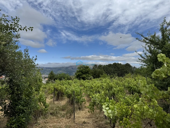 Moradia T5 para Venda em Arroios Foto 28