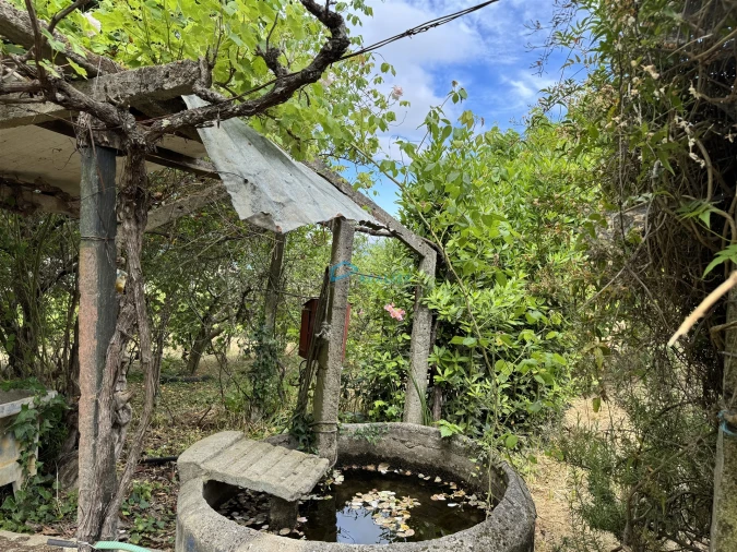 Moradia T5 para Venda em Arroios Foto 26