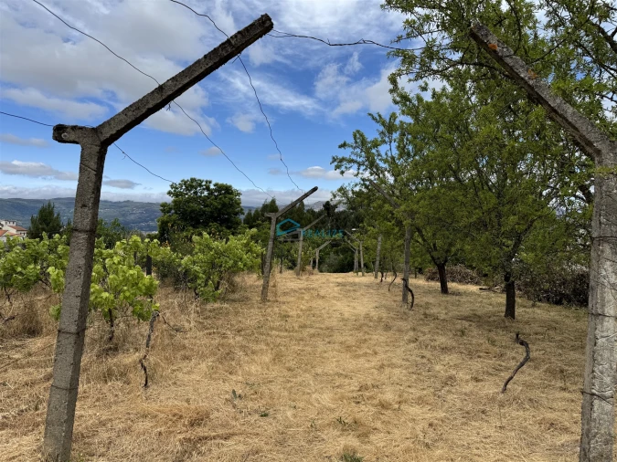 Moradia T5 para Venda em Arroios Foto 20