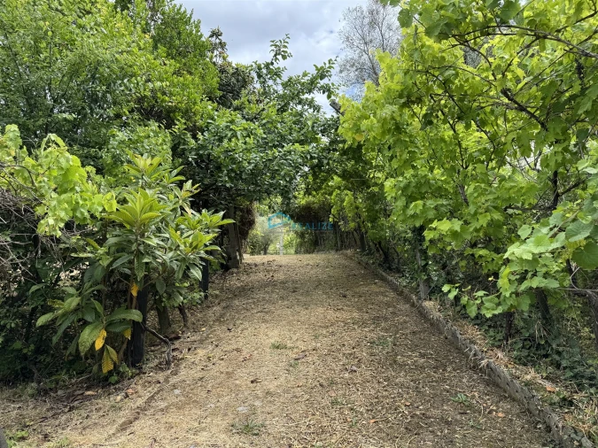 Moradia T5 para Venda em Arroios Foto 29