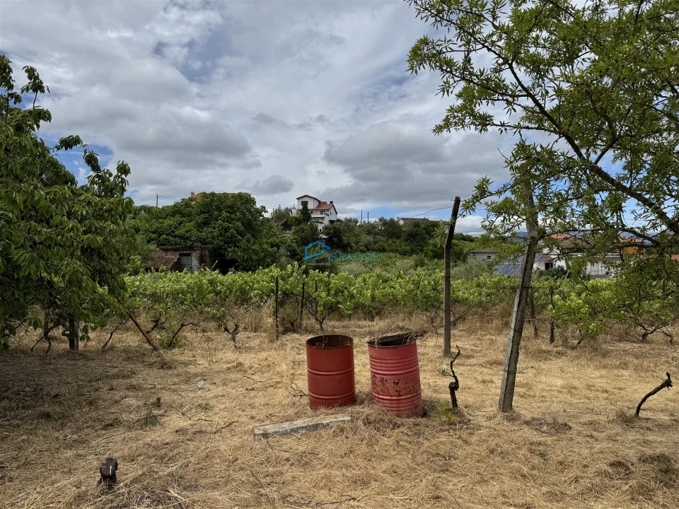 Moradia T5 para Venda em Arroios Foto 19