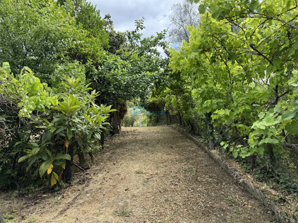 Moradia T5 para Venda em Arroios Foto 29