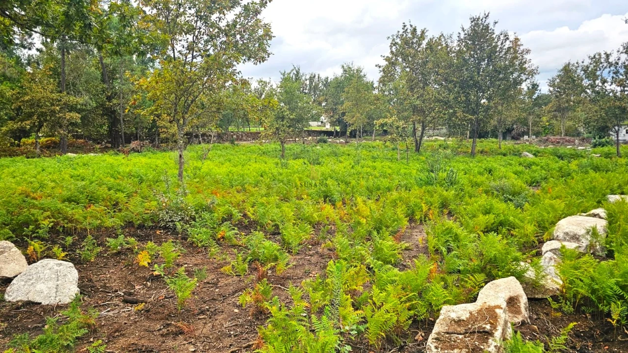 Terreno Agricola ou Rústico para Venda em Rio de Loba Foto 2