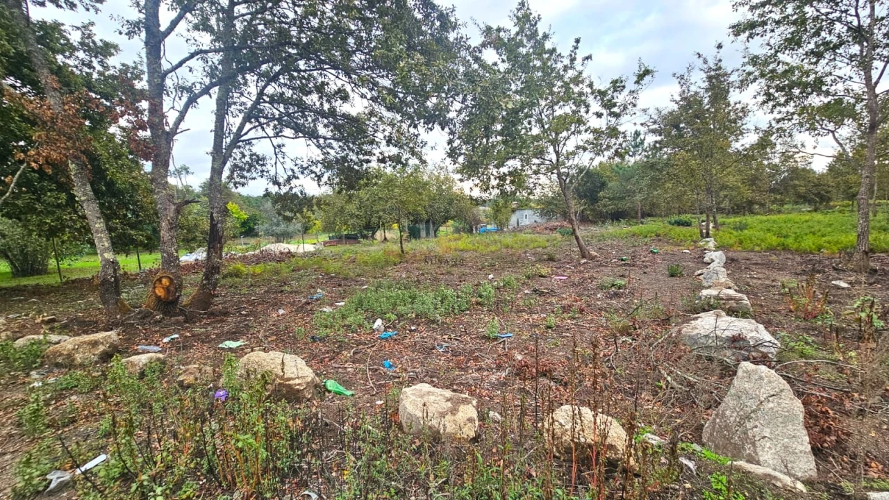 Terreno Agricola ou Rústico para Venda em Rio de Loba Foto 3