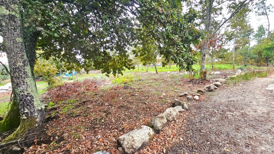 Terreno Agricola ou Rústico para Venda em Rio de Loba Foto 4