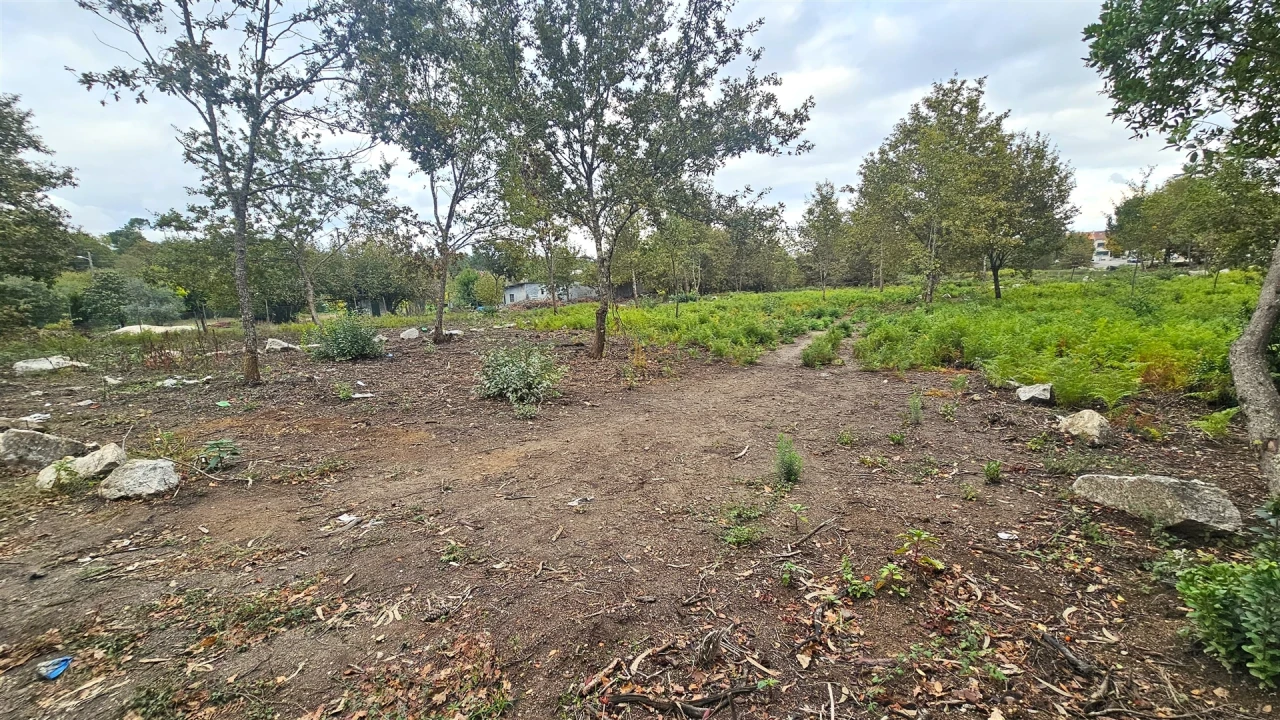 Terreno Agricola ou Rústico para Venda em Rio de Loba Foto 1