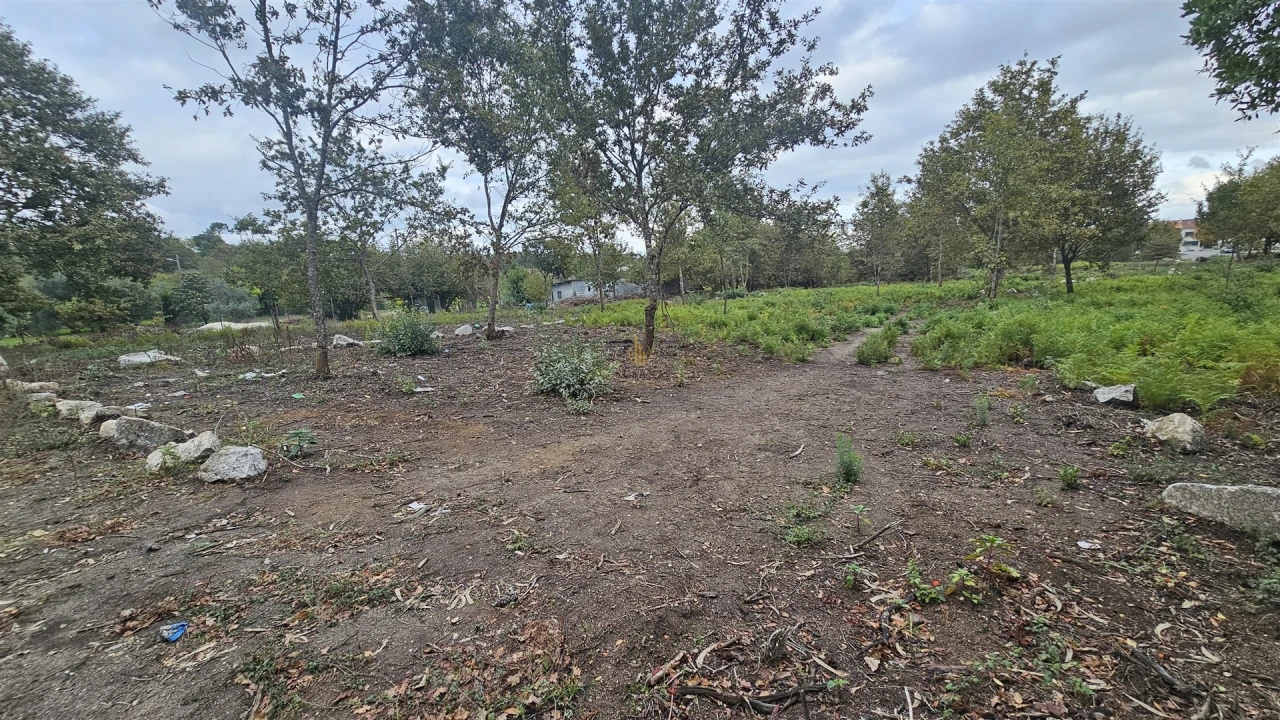 Terreno Agricola ou Rústico para Venda em Rio de Loba Foto 5