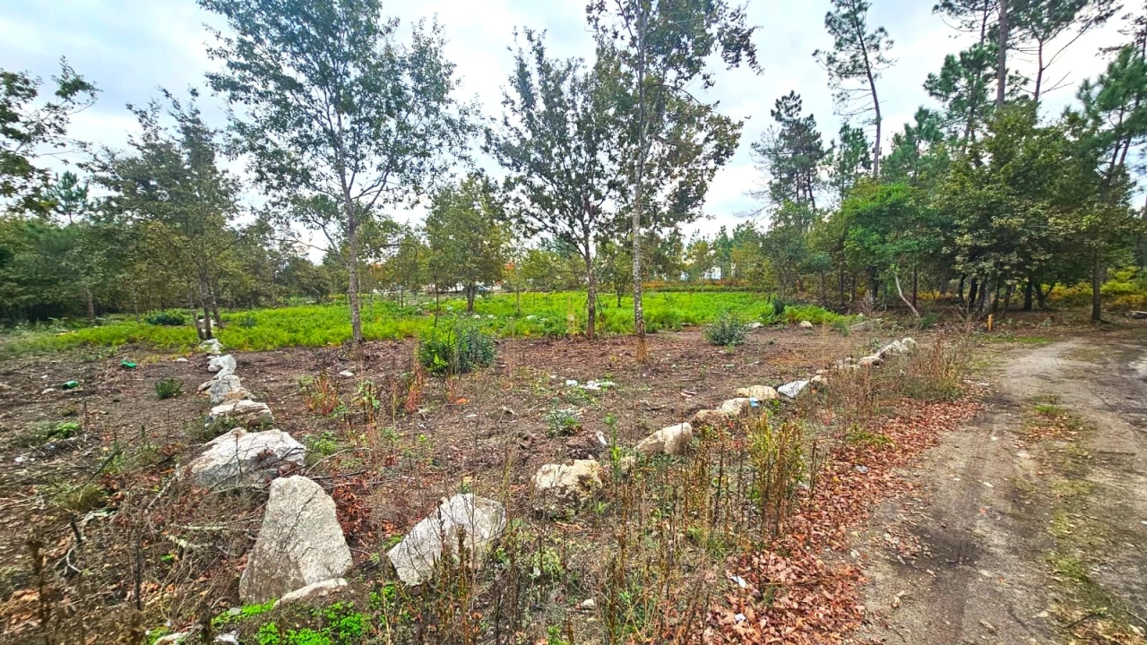 Terreno Agricola ou Rústico para Venda em Rio de Loba Foto 2