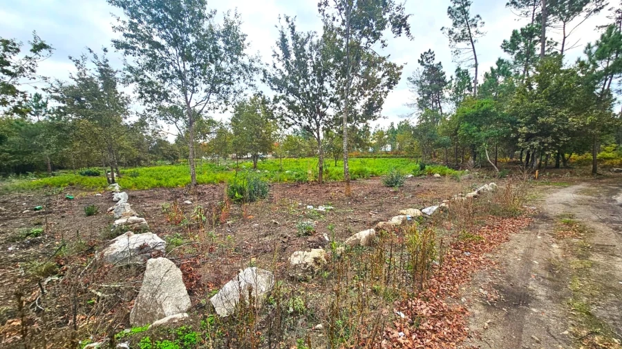 Terreno Agricola ou Rústico para Venda em Rio de Loba Foto 2
