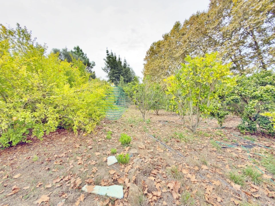 Moradia T7 para Venda em Atouguia da Baleia Foto 85