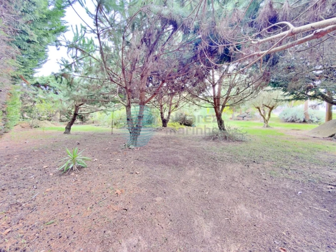 Moradia T7 para Venda em Atouguia da Baleia Foto 81