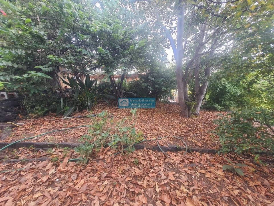 Terreno para Venda em Funchal (Santa Luzia) Foto 4