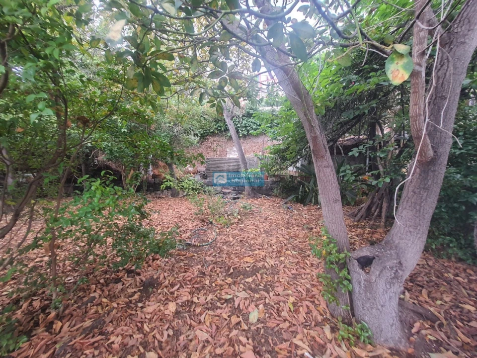 Terreno para Venda em Funchal (Santa Luzia) Foto 10