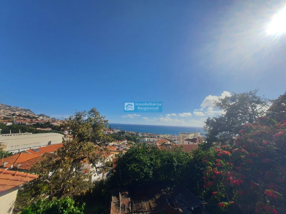 Terreno para Venda em Funchal (Santa Luzia) Foto 13