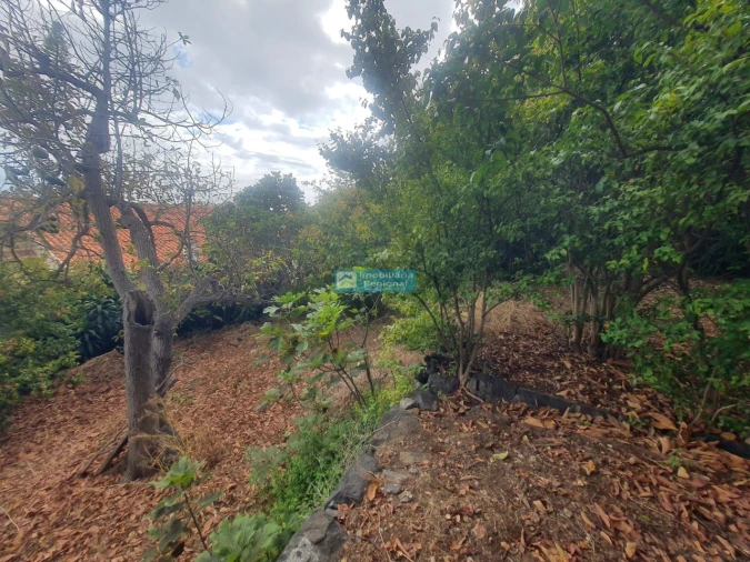Terreno para Venda em Funchal (Santa Luzia) Foto 11