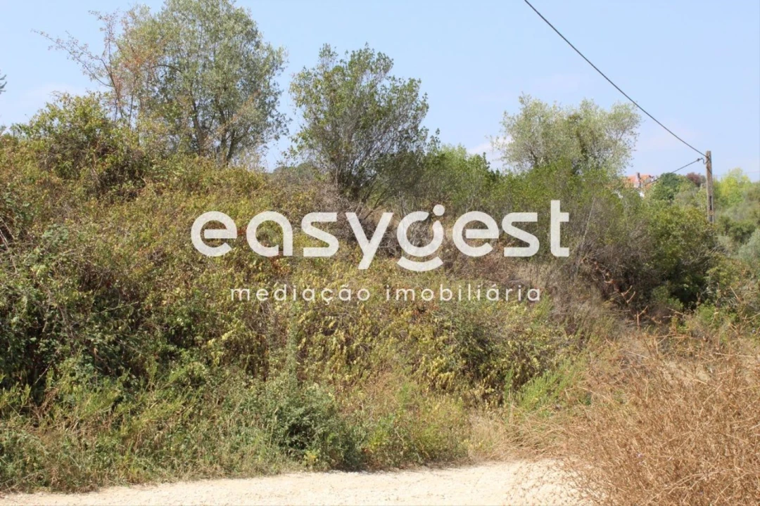 Terreno para Venda em Madalena e Beselga Foto 2