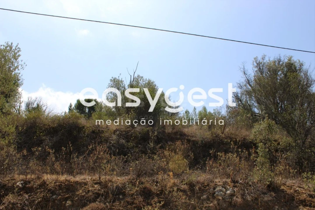 Terreno para Venda em Madalena e Beselga Foto 9