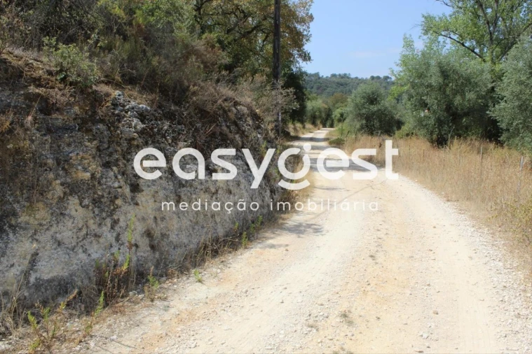 Terreno para Venda em Madalena e Beselga Foto 8