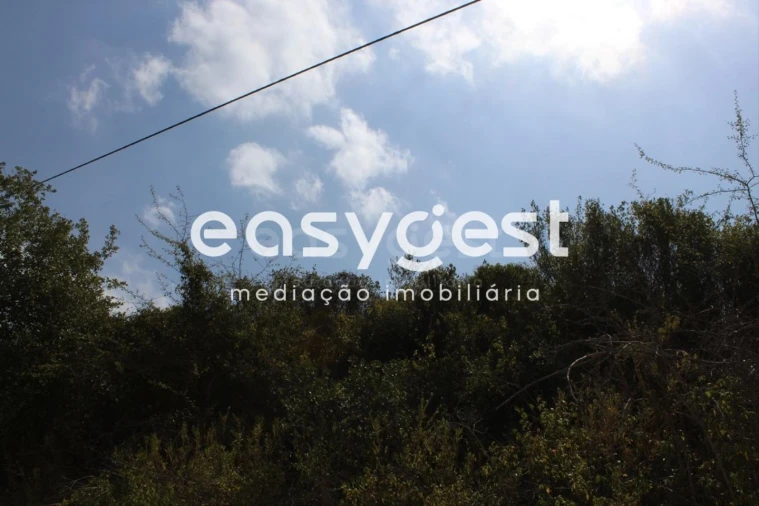 Terreno para Venda em Madalena e Beselga Foto 14