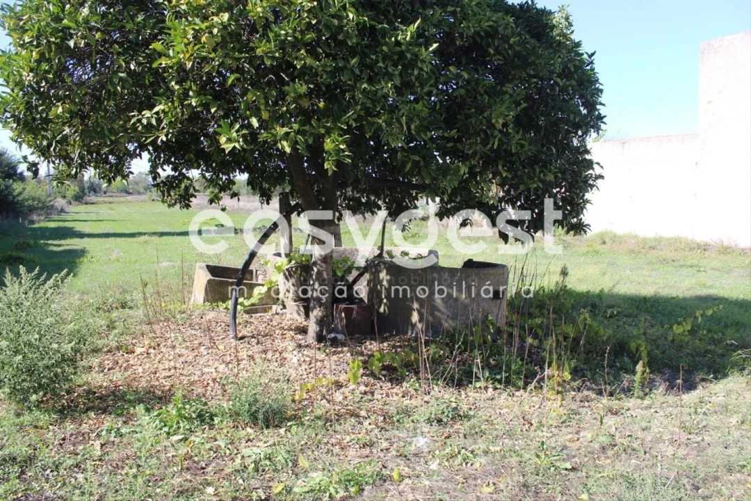 Terreno para Venda em Almeirim Foto 9