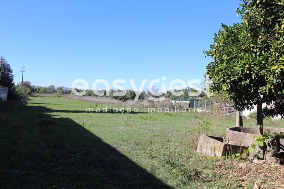Terreno para Venda em Almeirim Foto 10
