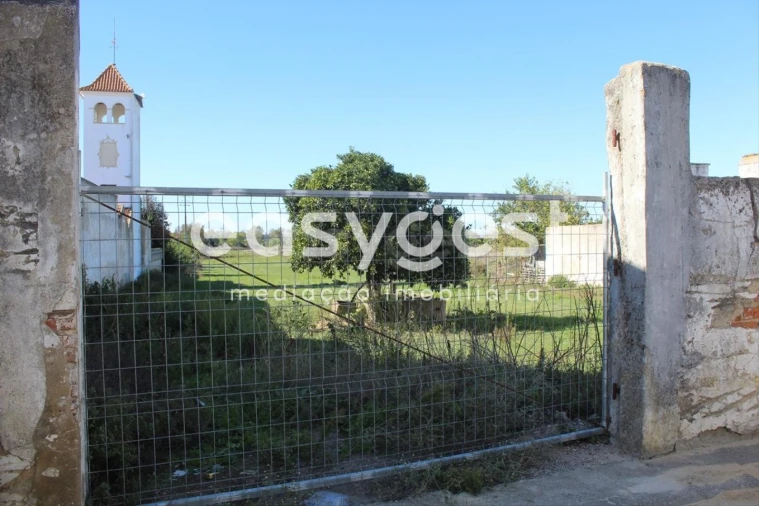 Terreno para Venda em Almeirim Foto 5