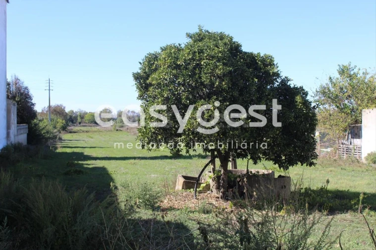 Terreno para Venda em Almeirim Foto 6