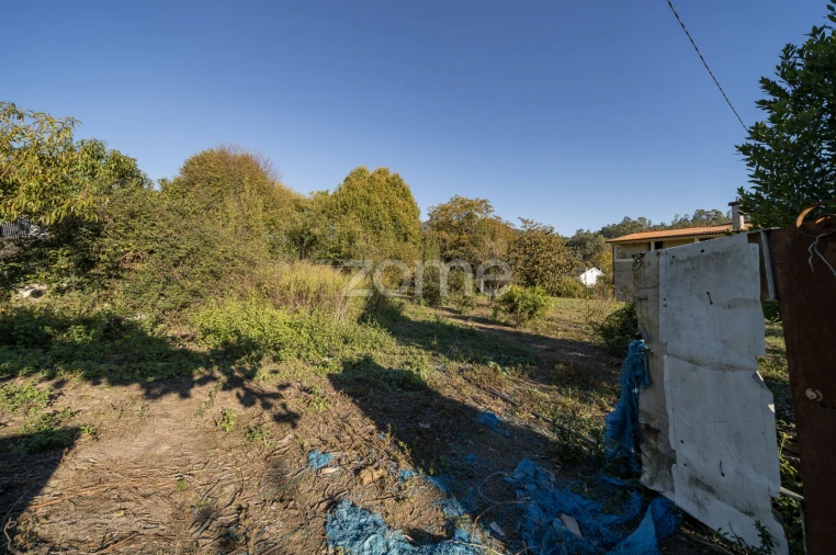 Terreno para Venda em Torre e Portela Foto 12