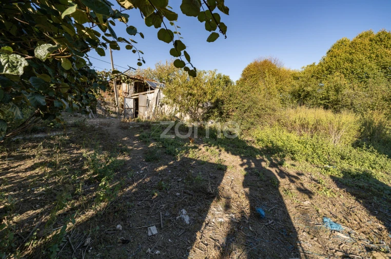 Terreno para Venda em Torre e Portela Foto 13