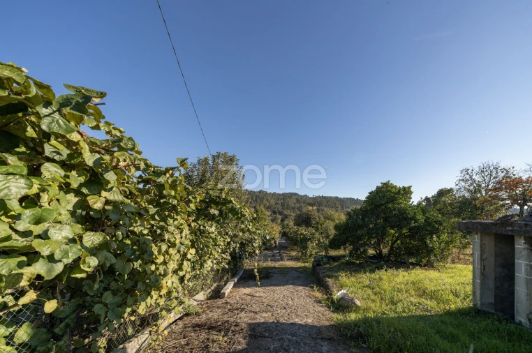 Terreno para Venda em Torre e Portela Foto 3