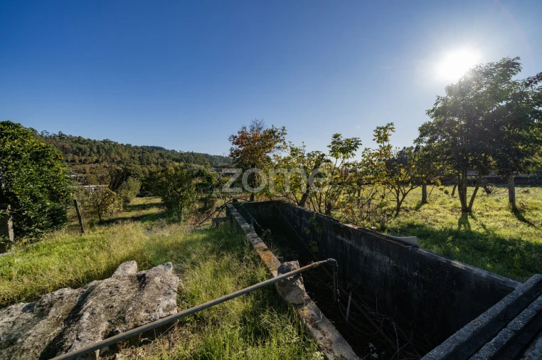 Terreno para Venda em Torre e Portela Foto 6